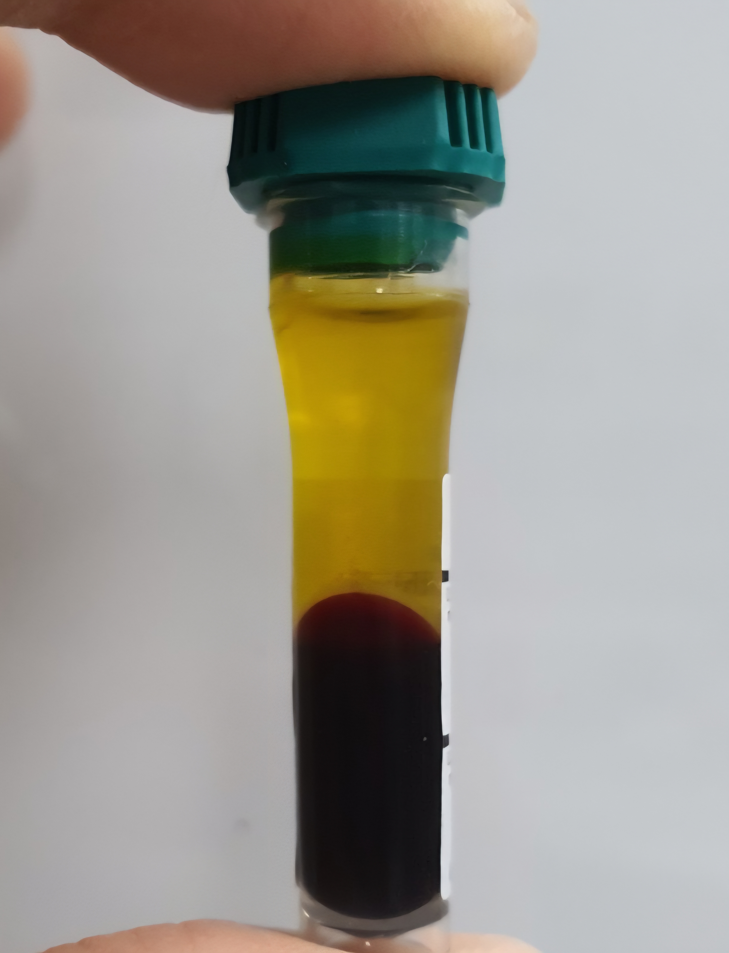 고양이가 노랗게 변했어요 - 고양이 지방간