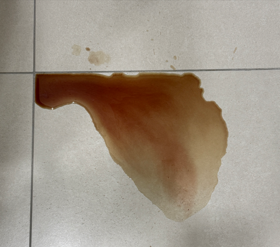 강아지가 피오줌이 나와요 - 방광결석