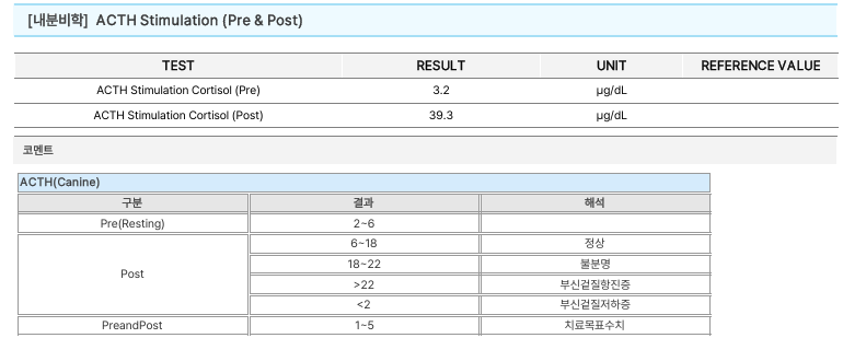 강아지가 소변실수를 해요 - 쿠싱증후군