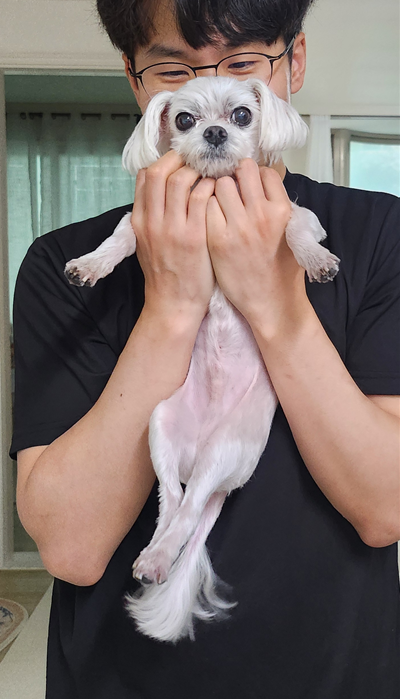 14살 노견 '쿠키'의 하루 (with. 수의사의 강아지 약 먹이기 3단계)