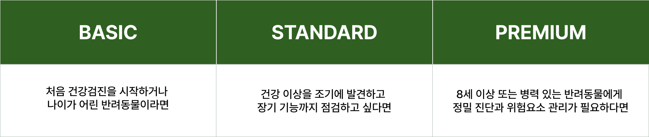 건강검진 항목 표