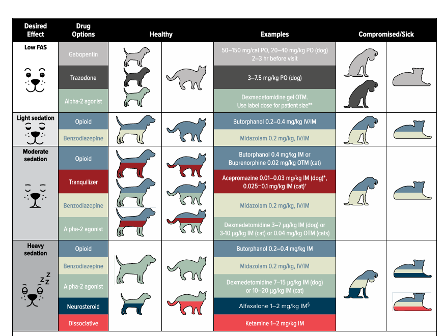 전마취 진통관리
